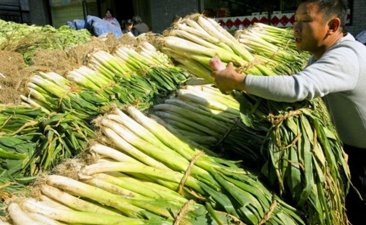 葱农教我3招，大葱放一冬也新鲜，不干不黄不空心，城里人快学学