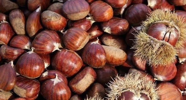  最佳|4种最廉价的补肾好物，每个超市都有，肾脏轻松恢复最佳状态！