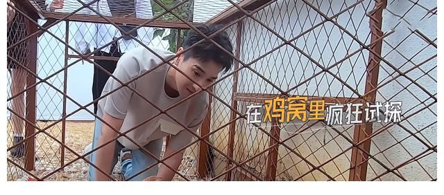 制作方|《最后的赢家》嘉宾互动效果出彩，趣味游戏增加节目观赏性