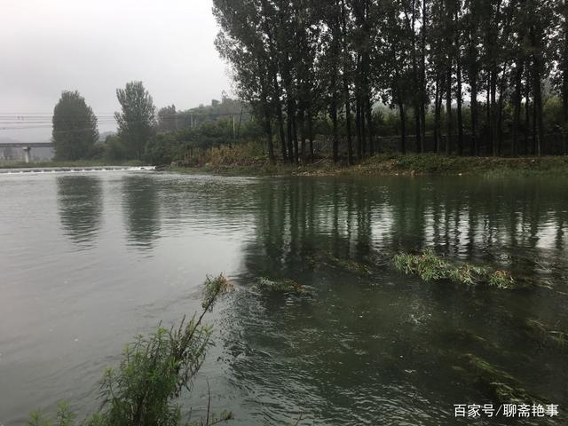 秋霜@七律(原创)但爱秋霜梳彩叶,休缘得意再欢歌