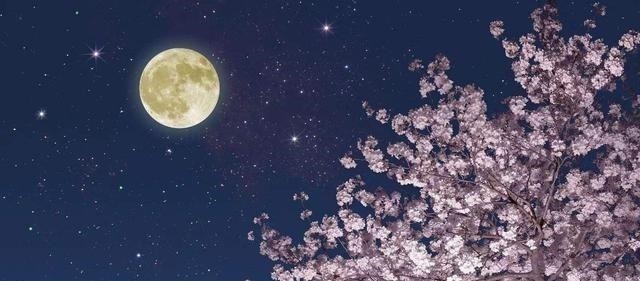 珠玉词@晏殊最唯美的一首诗,美得令人叹息,原来思念可以这么美这么伤!