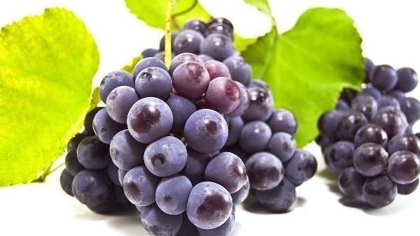 日常生活中|长期失眠,睡眠质量差怎么办?教你几个小妙招,改善睡眠质量!