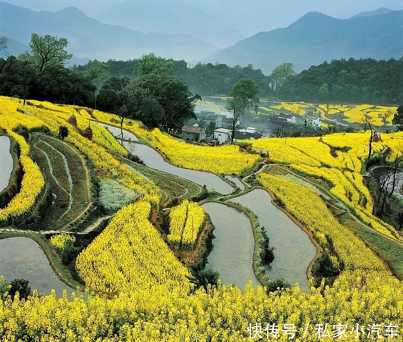 定向运动跑进婺源江岭除感受油菜花的美景外还有另一种风光感染你