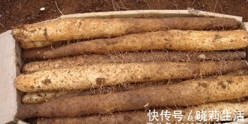 山药|十个人九个腰疼，此物煮来吃，腰不疼了，腿不酸了，早知早健康