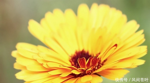 眉头皱纹怎么去除 ，笑看世间变迁 ，而你仍旧青春常在！