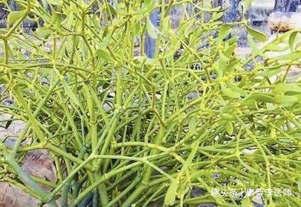 调经止痛|农村不起眼的野草，却是女人的福音，调经止痛、润肠通便，气色好