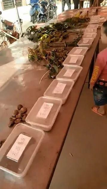  飞地|廉江“飞地”过禾了节，做籺籺籺籺籺籺吃啦！