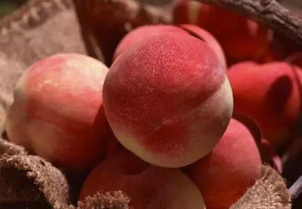 柠檬汁|?它是“天下第一果”,生吃解馋,熟吃食疗效果翻倍