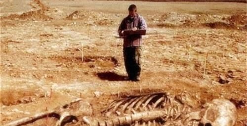 巨人|地球上曾出现过巨人族吗?农场主发现巨大遗骸,还有6根手指!