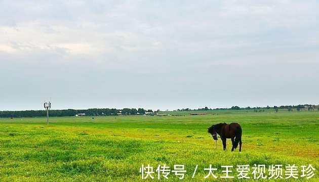 夏季|河北一个市，常年温度平均17°，是一个人尽皆知的避暑山庄