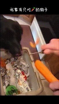 |搞笑GIF段子：浪过头了