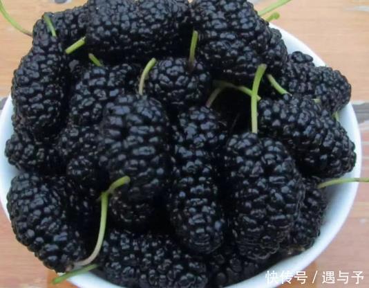 生气|女性经期期间,5种水果最好少碰,尤其第4种,小心姨妈“生气”
