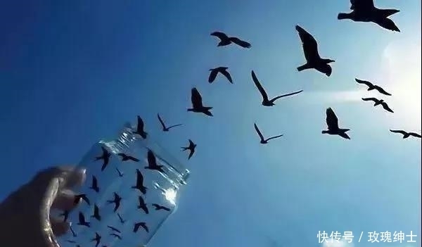 眼睛|你的眼睛捉弄了你,24张难以置信的照片