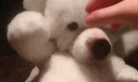 |搞笑GIF:单身就了真可怕,看什么都觉得是个美女,都是人才啊