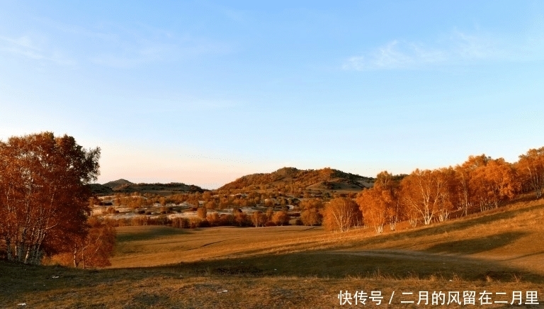 狮子座|有思想有见解，不会为人所控制的星座，快来测一测