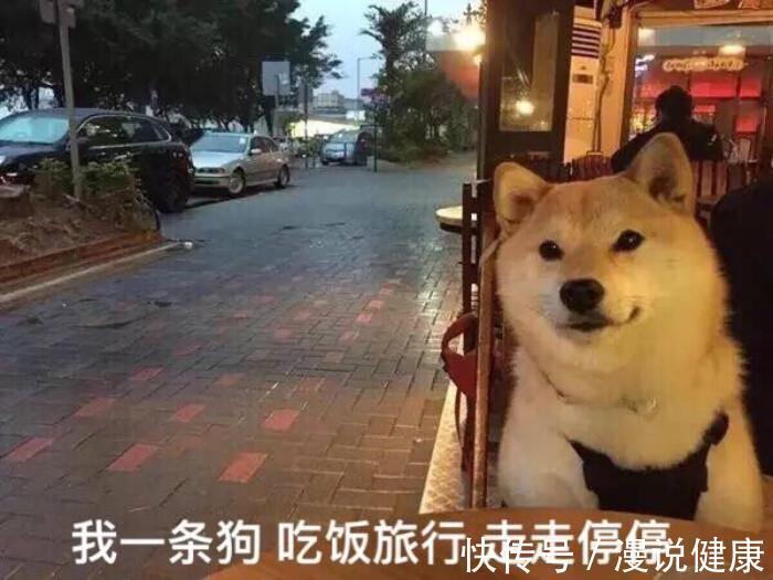 脱发|长期食用代餐产品会脱发?依靠节食减肥,小心“惹出”4个问题