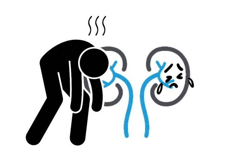 补肾强肾|肾不好百病生?提醒:日常多吃这4种食物,补肾强肾、增强免疫力