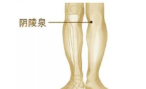  易得|5种女人最易得子宫肌瘤！中医2妙方活血化瘀、除寒湿，和肌瘤拜拜