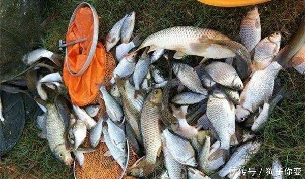 冬季钓鲫鱼，不要一味钓远，经验告诉你，这些位置钓近就能上鱼！