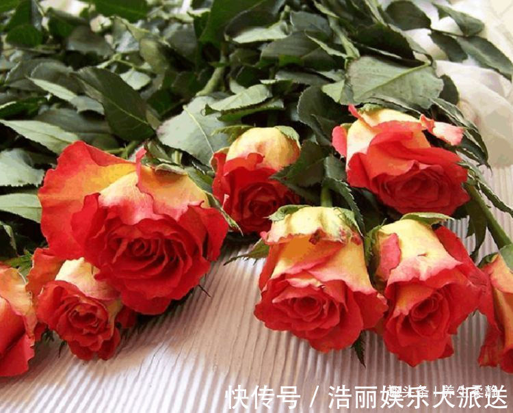 彩纸|喜欢玫瑰,不妨养“珍品玫瑰”彩纸口红,花开似唇彩,鲜艳夺目