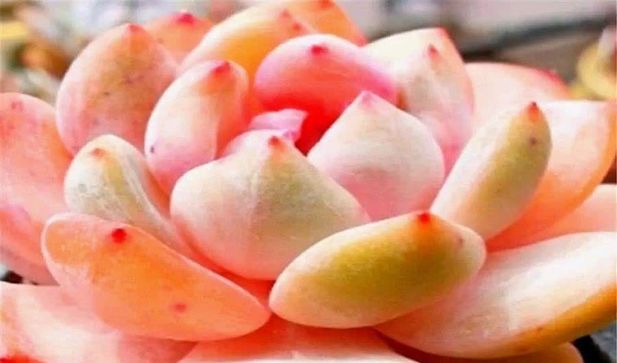 做个自律的人，不简单