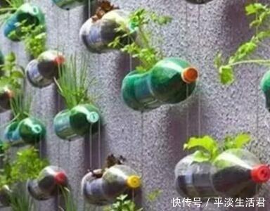 这些破烂不要扔,做成“小花盆”,个性又漂亮,比买的强“百倍”!