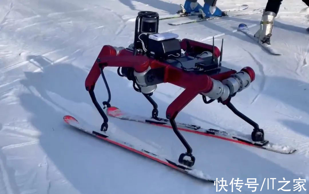 学院|上海交大自主研发滑雪机器人：有六只脚，灵活避障