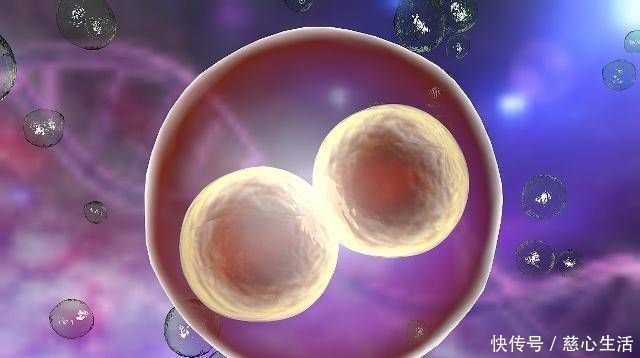 时间段|不管头胎还是二胎,在这3个时间点出生,或许是一位有福气的孩子