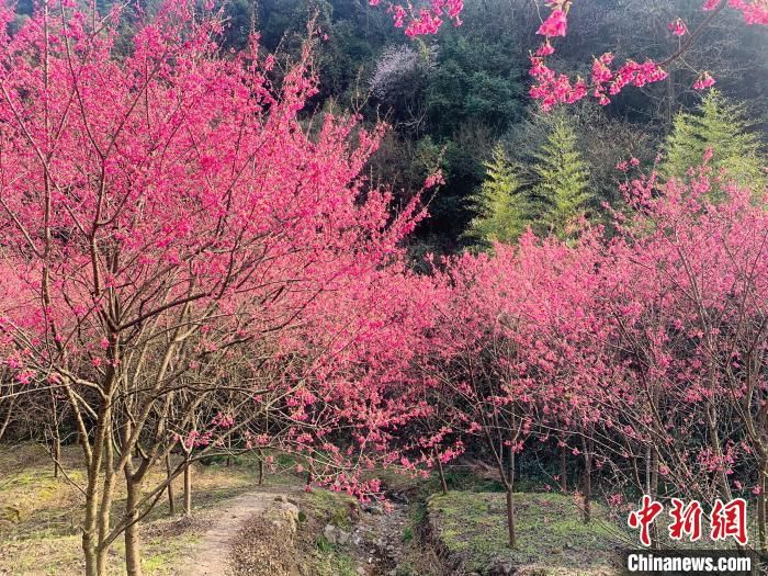 阳光“控场”暖意浓 长三角多地“小跑”入春