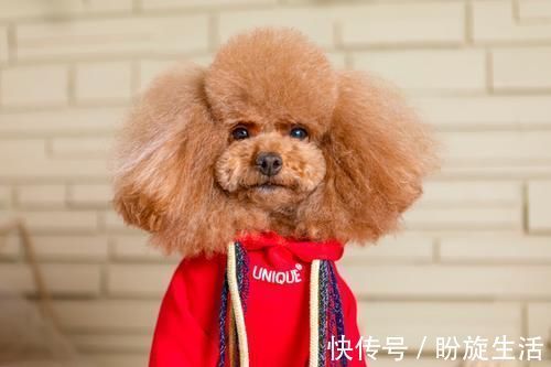安装|地暖到底该不该装？了解3个优点和5个缺点再行动，不懂早收藏