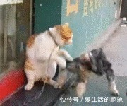 |搞笑GIF:妹子,你是个有才华的人,就是太贪玩了!