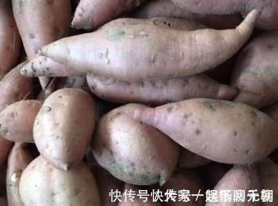 红薯|女性不想老的快,红薯和此物配,皱纹悄悄溜走,瘦出好身材