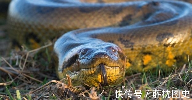 时尚杂志|外国真人秀复刻恐怖片!教你在丧尸吸血鬼杀人狂手下逃生