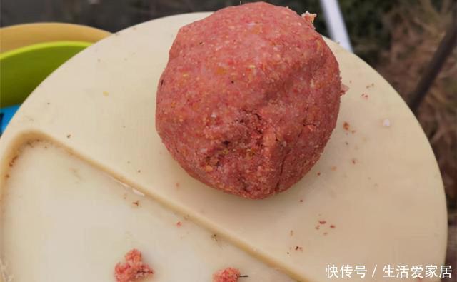 冬季|冬季钓鲫鱼,5宜5不宜!套路不正确,再好的饵料都没用