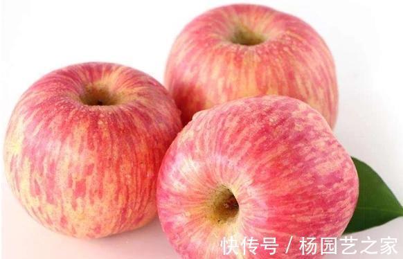 燕麦|肠道的“润滑剂”，便秘的人常吃，排宿便清肠道，体重“嗖嗖”降