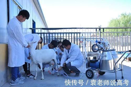 哈弗H6L对比哈弗H6加个L多了什么双横臂对比多连杆易游娱乐城- YY易游体育官方网站- 易游体育APP