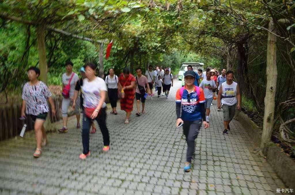 中年|西峡龙潭沟