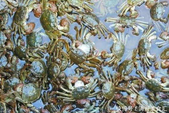 生蚝|这些美味在当地泛滥成灾,在我国却价格不菲,需要人工饲养