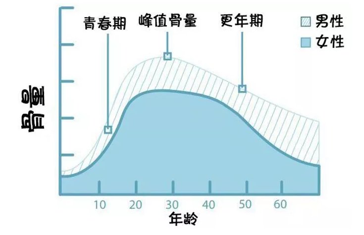 骨质疏松了？可能也有冠心病！|【健哥说心脏】世界骨质疏松日| 骨量