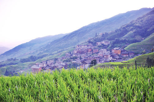 同居|广西深山梯田，风景秀丽登山难，七十岁老奶奶帮游客搬行李赚40元