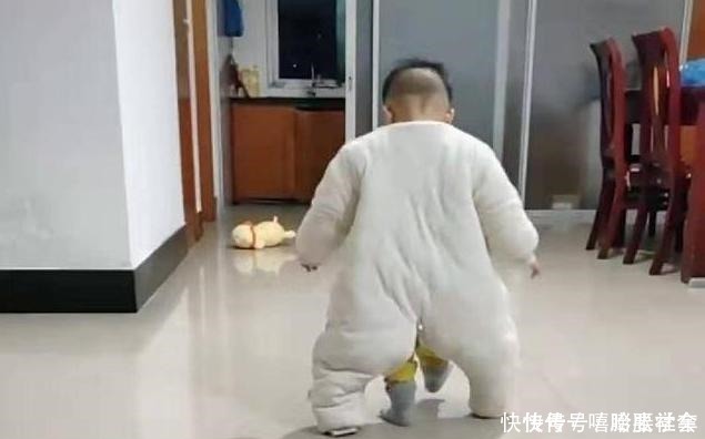 妈妈|家中惊现“四脚神兽”,妈妈称要被萌化了,网友一看却提心吊胆!