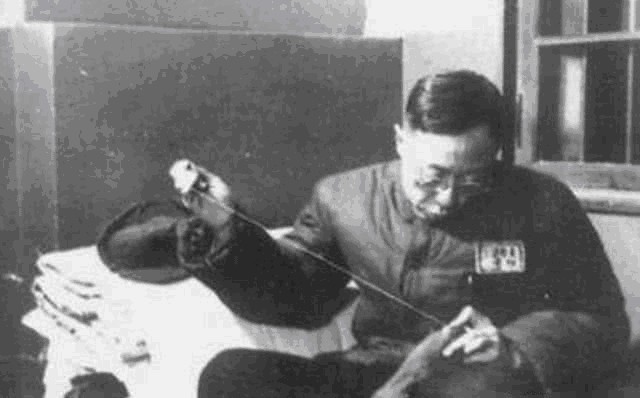 河车|“河车丸”究竟是什么,为何末代皇帝临死前,还对其念念不忘?