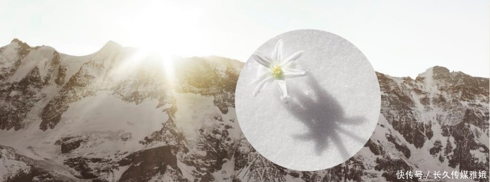 她给粉丝推荐几十块钱的平价产品，浴室里用的却是万元面霜？