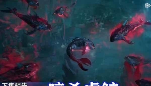 小白|斗罗大陆:十万年邪魔虎鲸王暴走,奴役小白和魔魂鲨,被暗器狙击!