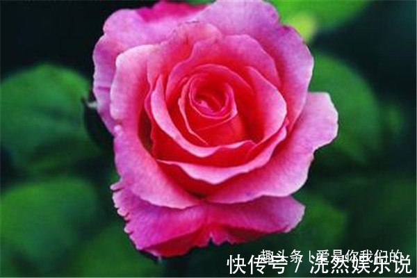 出息|父母只要有一人出生在农历这6天,孩子相貌好,福气更好!