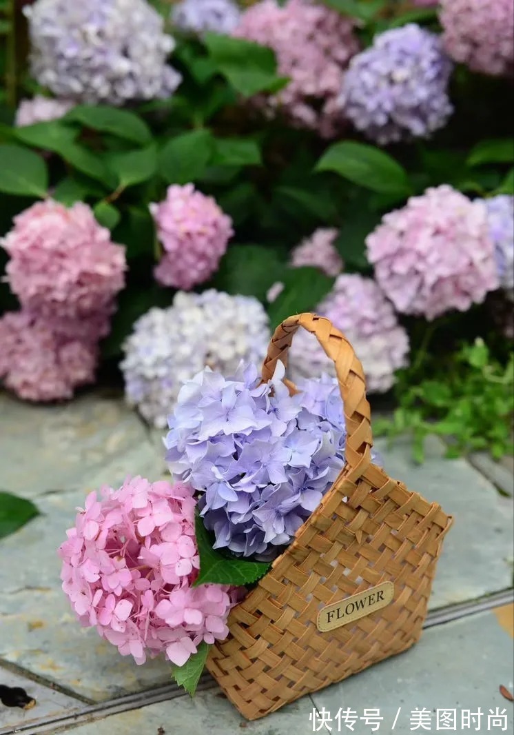 防腐木|为了这个45㎡小院子，坚持买了一楼，打造成花园后比别墅还好看