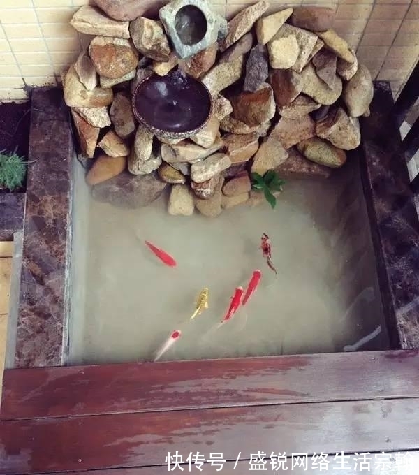 防水|老公在阳台做了个鱼池, 发到业主群里, 楼下直接找上门了!