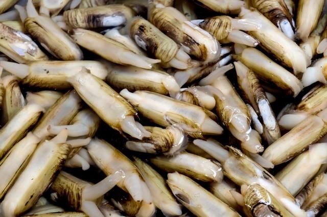 氨基酸|含“寄生虫”最多的3种海鲜，没营养还贵，老板自己从不吃