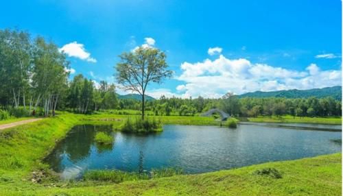 心静|养生先养心，你知道怎么养心吗？