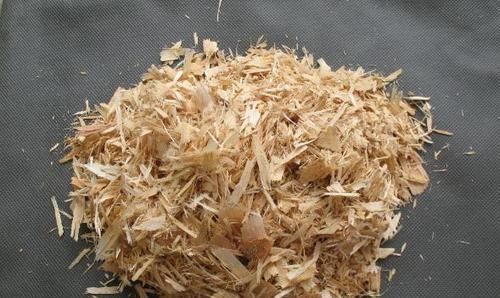 养花配土是门学问！用这5样东西“混搭”，就再也不用买了